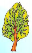 02012j3e-a281-104x172.png