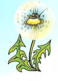 02012j3g-3686-120x167.png