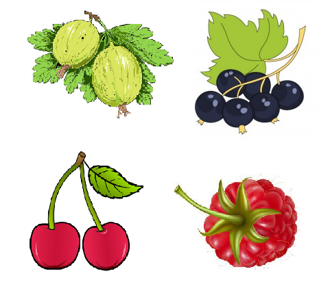 02012j4e-ceeb-481x431.png