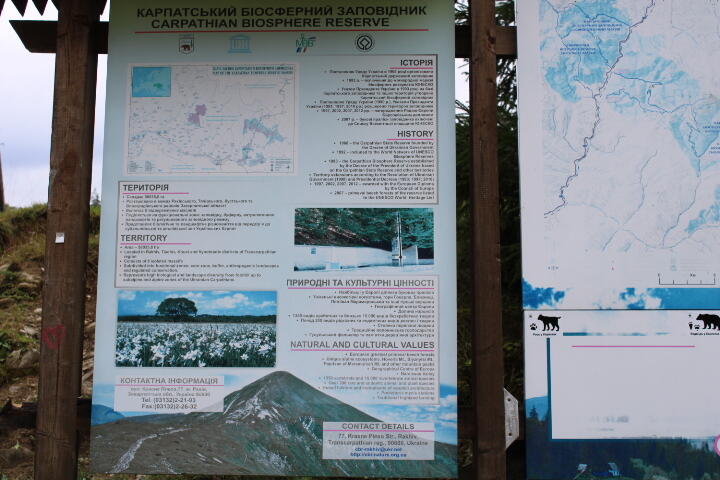 02012l04-f7f6-720x480.jpg