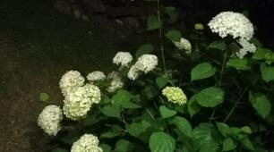 Анкета для вчителів ШМО природничого циклу ( серпневе засідання) 