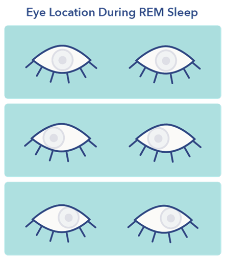 02012n1y-a122-443x507.png