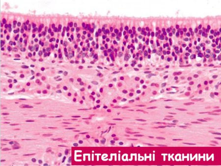 02012nb3-0a09-912x682.png