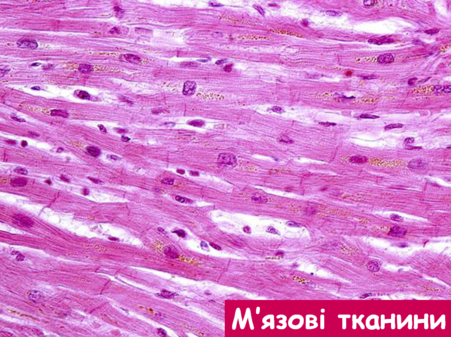 02012nb9-f89a-925x691.png