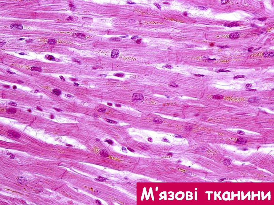 02012nb9-f89a-925x691.png
