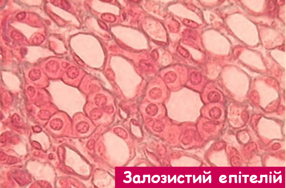 02012nd6-a999-940x618.png