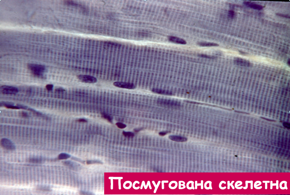 02012nee-adbb-940x631.png