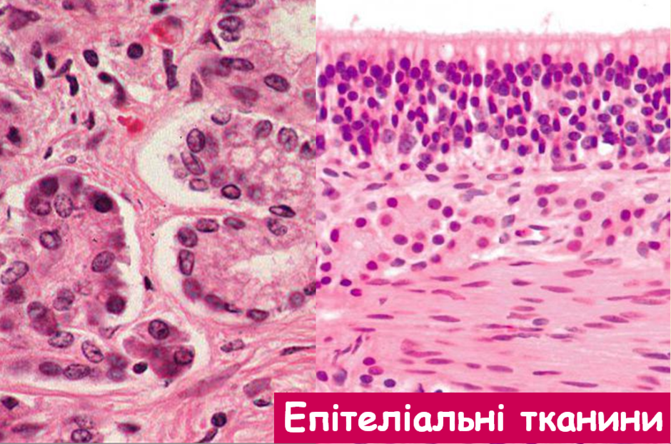 02012nh2-b517-940x622.png