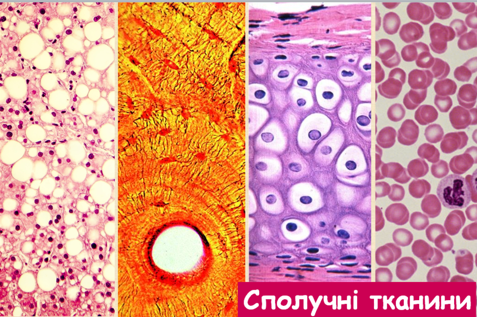 02012nhs-b6a6-940x624.png