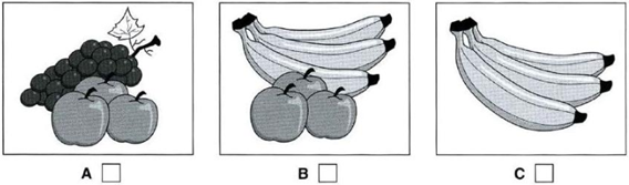 02012rrc-0ce9-568x167.png