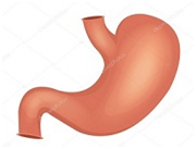02012rvj-c7a9-180x137.png