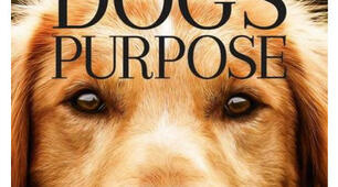 A Dog's Purpose. Review
