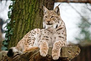 02012w0k-8501-317x213.jpg