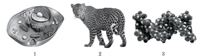 02012wfp-3b56-452x130.png