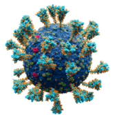 02012xd7-f768-167x167.png