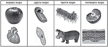 02012xgh-7c4b-369x163.png