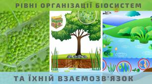Презентація на тему: "Рівні організації біосистем та їхній взаємозв'язок"
