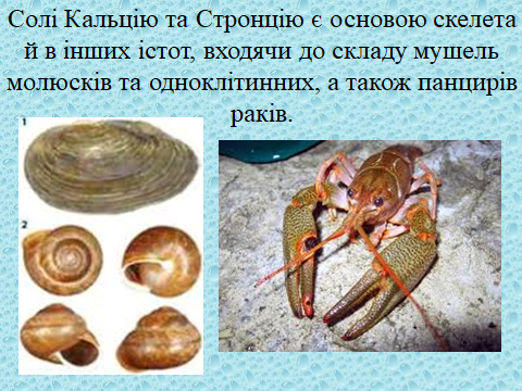 02012z6k-3d55-480x360.png