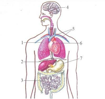 02012z7i-d37e-400x376.jpg