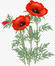 020131t9-8958-55x66.jpg