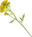 020131tc-3995-65x76.png