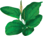 020131te-ce19-86x72.png