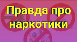 Правда про наркотики