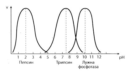 020132e3-bd1b-414x231.jpg