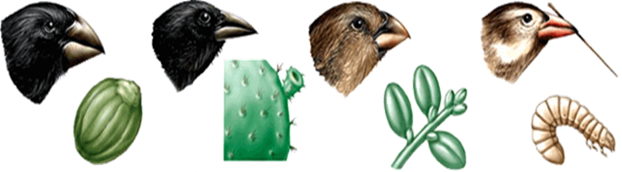 020132v8-7007-622x172.png