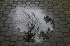 02013cgo-25c8-142x94.png