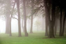 02013cgq-a909-137x91.png