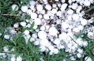 02013cgz-6c82-133x87.png