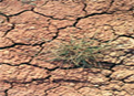 02013ch4-c2be-121x87.png
