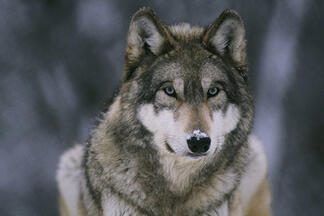 02013cjw-2238-324x216.jpg