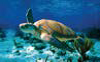 02013e0z-316c-152x94.png