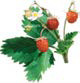 02013e11-4829-109x113.png