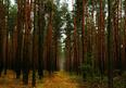 02013e1g-d9d0-116x81.jpg