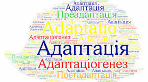 Адаптації, їх формування