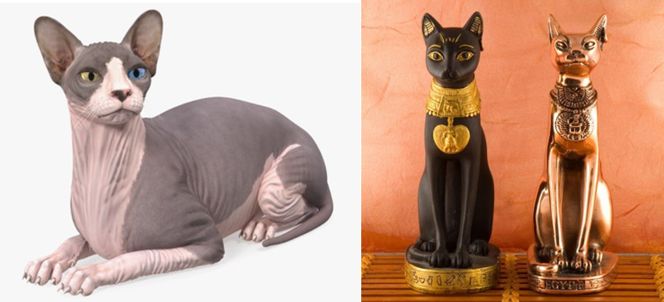 02013fhz-9ce0-664x302.png