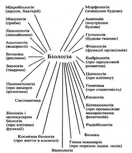 Біологія як наука