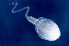 02013jr9-acdb-239x158.jpg
