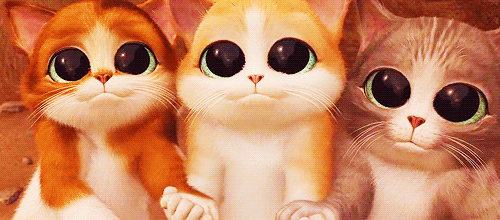 02013m3g-4a05-500x220.gif