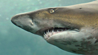 02013mgu-6d41-700x394.png