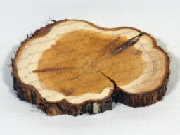 02013mh0-fc3d-900x675.png