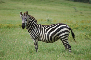 02013mhh-ae73-940x625.png