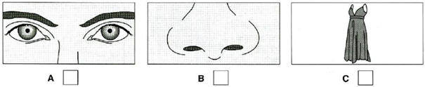 02013nlg-abf7-605x124.png