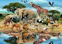 4 жовтня – Всесвітній день тварин – Державна екологічна інспекція у Сумській області