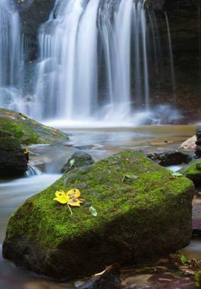 02013oo9-a18a-284x409.jpg