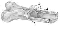 02013qv4-aeb4-207x99.png