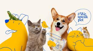 WEB-Quest "Pet Walking" - Pet Vocabulary англійською мовою